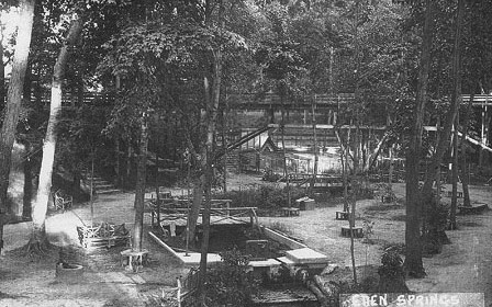 They then moved the birds from the birdcage as well as other animals that had been on display to the park and expanded that attraction into a full zoo.  The original zoo was located just west of the east train trestle where the midget auto raceway was located years later.