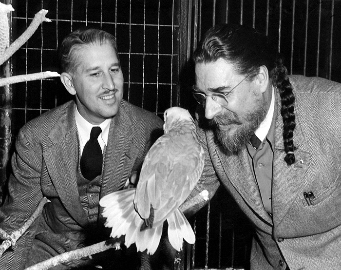 This picture shows Marlin Perkins in the early days of his tenor of the St. Louis zoo.  Chic Bell of our zoo was presenting Mr. Perkins with an eagle.  The talented Mr. Perkins went on to fame as producer of The Wild Kingdom on television.  The talent of the Israelite House of David members is also well known.  Mr. Chic Bell was a talented musician -- he played the coronet.