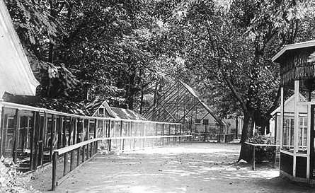 This is an earlier picture of the bird cages.  The one on the right was round and beyond that was a turtle pond.  Over to the extreme right was another pond by the railroad tracks.  This pond had fish in it and was built by David Caudle our baker.  A monkey house was built just inside the entrance to the zoo.