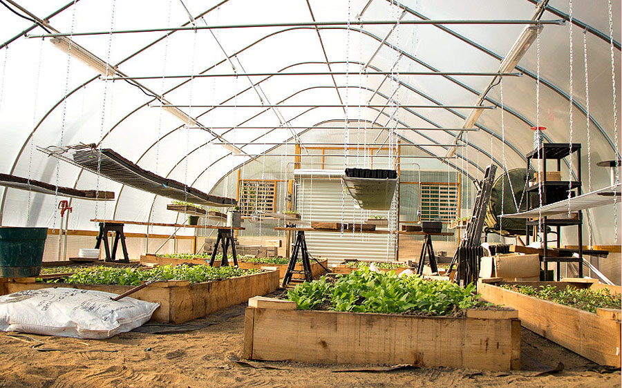 The crops are growing in the new greenhouse and can provide vegetables nearly all year around. The excess product is donated to Feeding America located near the colony on Empire Avenue.